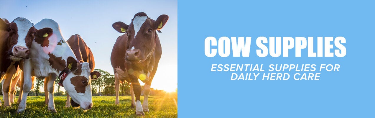 Cow Supplies: Essential Supplies for Daily Herd Care